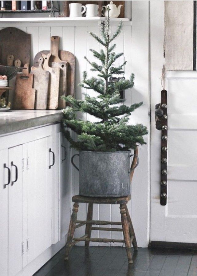 pin + insta // @ f o r t a n d f i e l d ♥ Christmas tree in vintage metal pai…