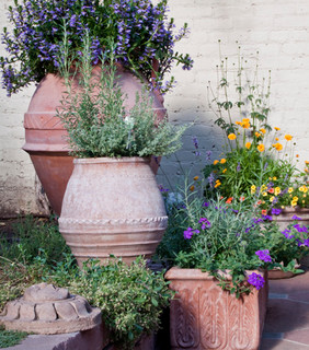 Cheerful Spring Container Gardening Designs & Ideas | Lifescape .