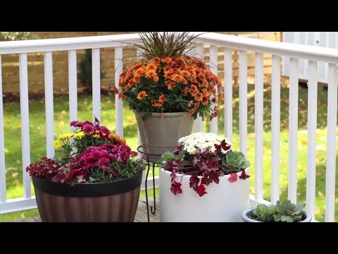 Container Garden Ideas - The Home Dep