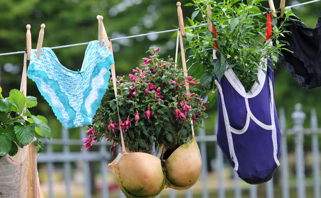 UNIQUE CONTAINER GARDENING IDEAS — Todd Haiman Landscape Desi