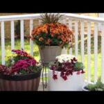 Container Garden Ideas - The Home Dep