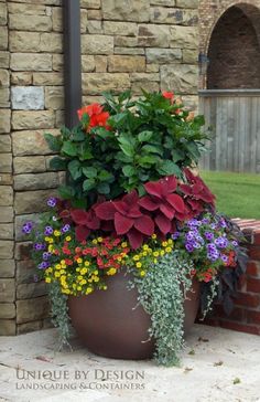 900+ Container Gardening ideas | container gardening, garden .