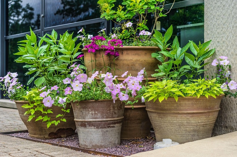Our Top Container Garden Ideas | Pots, Planters & Mo