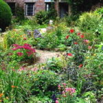 Cottage Garden Perennials - Midwest Gardeni