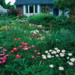 Defining the New American Cottage Garden - FineGardeni
