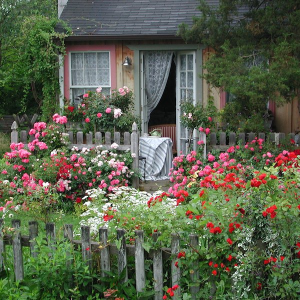 3 tips for designing a low maintenance cottage garden - Anthony .