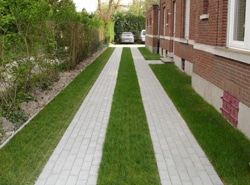 Grass Paving & Permeable Pavers for Driveways | BC & Alber
