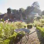 12 English Garden Ideas That Will Bring Major Beauty to Your Ya