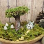 Creating a Miniature Garden (Ages 8+) (Sold Out) | Coastal Maine .