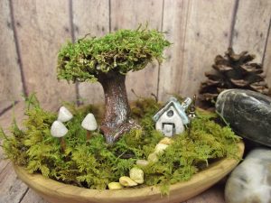 Creating a Miniature Garden (Ages 8+) (Sold Out) | Coastal Maine .