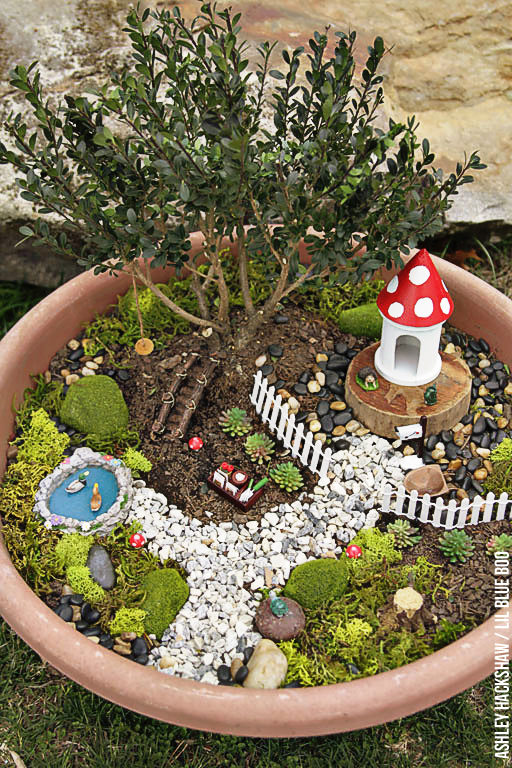 Fairy Garden Ideas - How to make a Bonsai Tree Fairy Gard