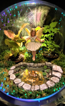 Fairy Garden Moth