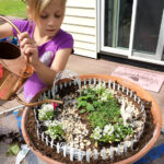How to Build a Fairy Garden with Kids - Finding Ze