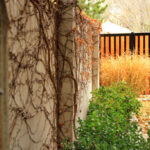 The Ultimate Collection of Privacy Fence Ideas (Create Any Design .