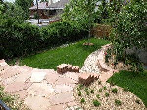 Planting To Compliment Your Colorado Flagsto