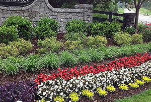 flower beds for hot weather Archives - Pugh's Earthwor