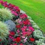 29 Circular flower bed ideas | garden design, garden landscaping .