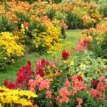 25 Best Flower Bed Ideas for Your Prettiest Garden Y