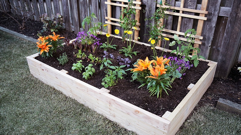 How to Build a Raised Garden B
