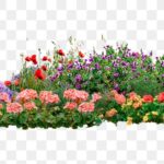 Flower Bed Images | Free Photos, PNG Stickers, Wallpapers .