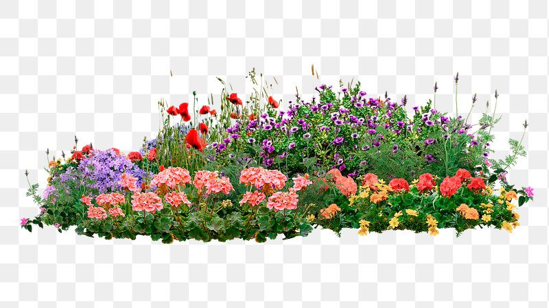 Flower Bed Images | Free Photos, PNG Stickers, Wallpapers .