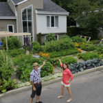 Urban Gardening in Company's Front Yard | Gardener's Supp