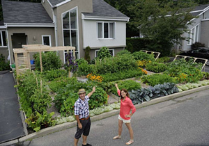 Urban Gardening in Company's Front Yard | Gardener's Supp