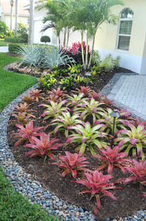 75 Tropical Front Yard Landscaping Ideas You'll Love - April, 2024 .