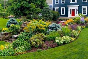 Tips For Front Yard Landscaping Desig