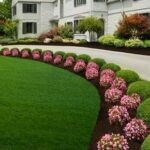 38 Amazingly Green Front-yard & Backyard Landscaping Ideas .