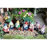 Amazon.com: Clytte Mini Fairy Garden Accessories, Miniature Fairys .