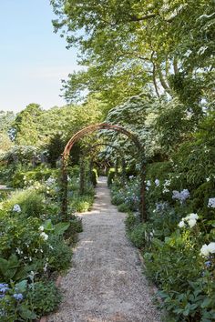 390 Best Garden Arches ideas | garden, beautiful gardens, dream gard