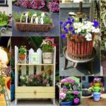 100 Succulent Planter Ideas! DIY Garden Decor Ideas - YouTu