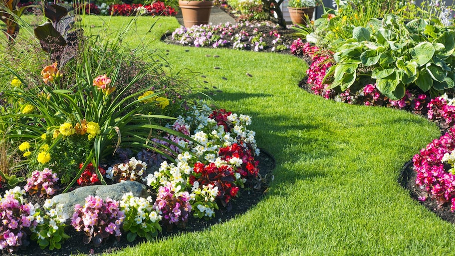 18 Garden Edging Ideas to Define Your Outdoor Paradi