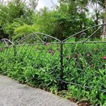 Amazon.com : Ujiabiz Decorative Garden Fence 17 in (H) x 10 ft (L .
