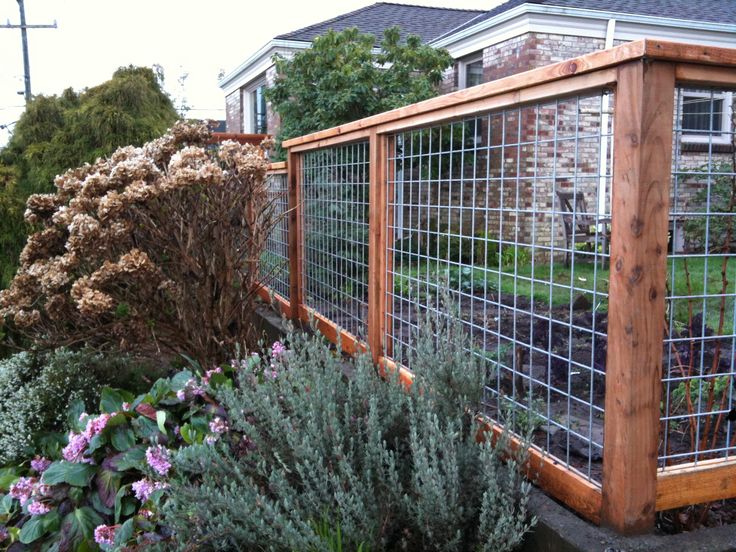 backyard fence | Cheap garden fencing, Backyard fences, Fence desi