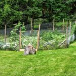 How to Make a Great Garden Fence | Garden Fence D