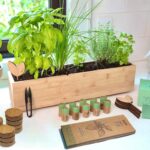 FLEUR DU BIEN Indoor Herb Garden Kit Planter, 10 Herb Seed Packs .