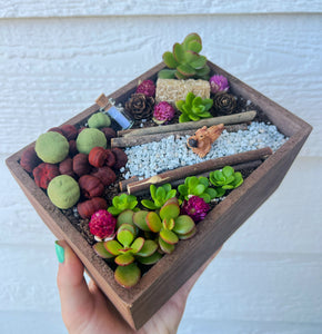 DIY Pumpkin Patch Fairy Garden Kit – In Succulent Lo