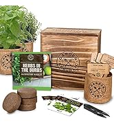 Amazon.com : Indoor Herb Garden Starter Kit - Heirloom, Non-GMO .