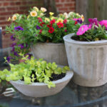 Over on eHow: DIY Cement Flower Pots | 17 Apa
