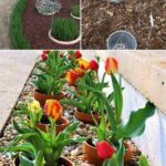 30+ Genius Cheap Gardening Ideas for 2024 - FarmFoodFamily | Easy .