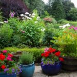 Container Gardening Ideas - Best Plants for Containe