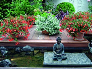 Container Gardening Tips for Your Outdoor Space | Architectural Dige