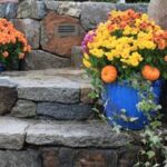 Autumn Gardening Guide | Garden Desi