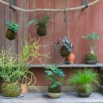 12 Easy DIY Garden Ideas | Garden Desi