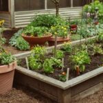 Raised Bed Garden Design: How To Layout & Build | Garden Desi
