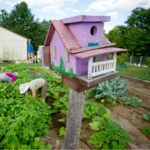 Maine Home Garden News - Cooperative Extension: Garden and Yard .
