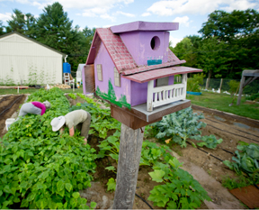Maine Home Garden News - Cooperative Extension: Garden and Yard .
