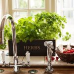 Windowsill Herb Garden, Herb Planter Kit, Indoor Herb Planter .